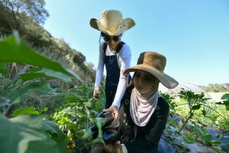 جزائريتان تقتحمان الزراعة البيئية بمزرعة تعليمية تنظم أنشطة للأطفال